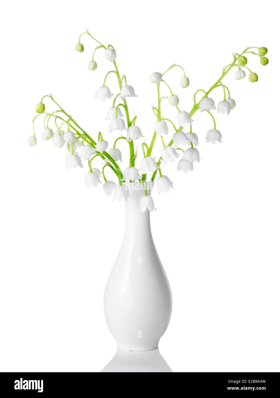 weiße Vase mit Lilien Frühling ist isoliert auf weißem Hintergrund Stockfoto