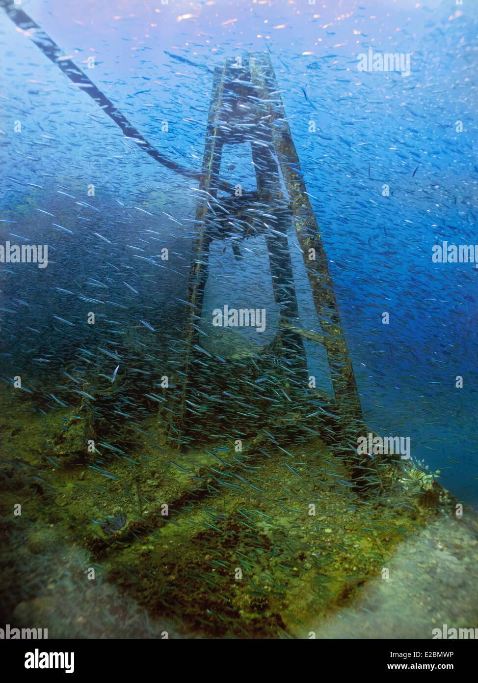 Wrack der SS Thistlegorm, versenkt am 5. Oktober 1941 im Roten Meer und ist heute ein bekannter Tauchplatz. Stockfoto
