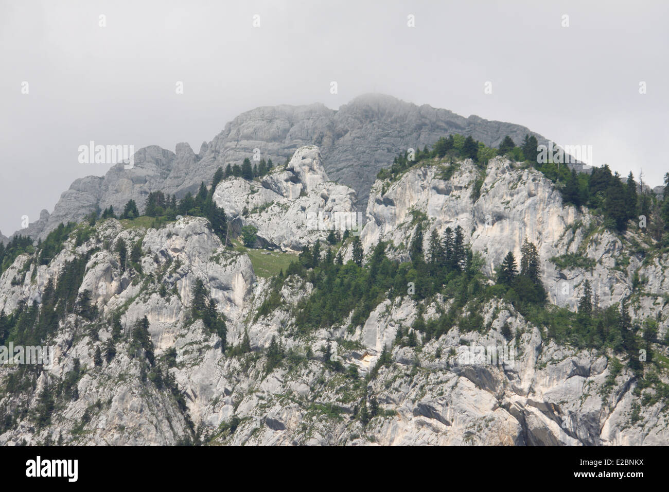 Berg und Wiese, Kloster von La Grande Chartreuse in den Alpen, Isère, Rhône-Alpes, Frankreich. Stockfoto