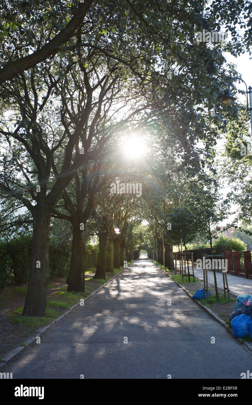 Papierkorb ist hinterlegten entlang einer Gemeindestraße in Bydgoszcz, Polen gesehen. Stockfoto