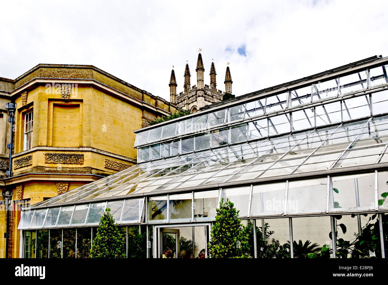 Botanischer Garten in Oxford; der Turm des Magdalen College im Hintergrund Stockfoto