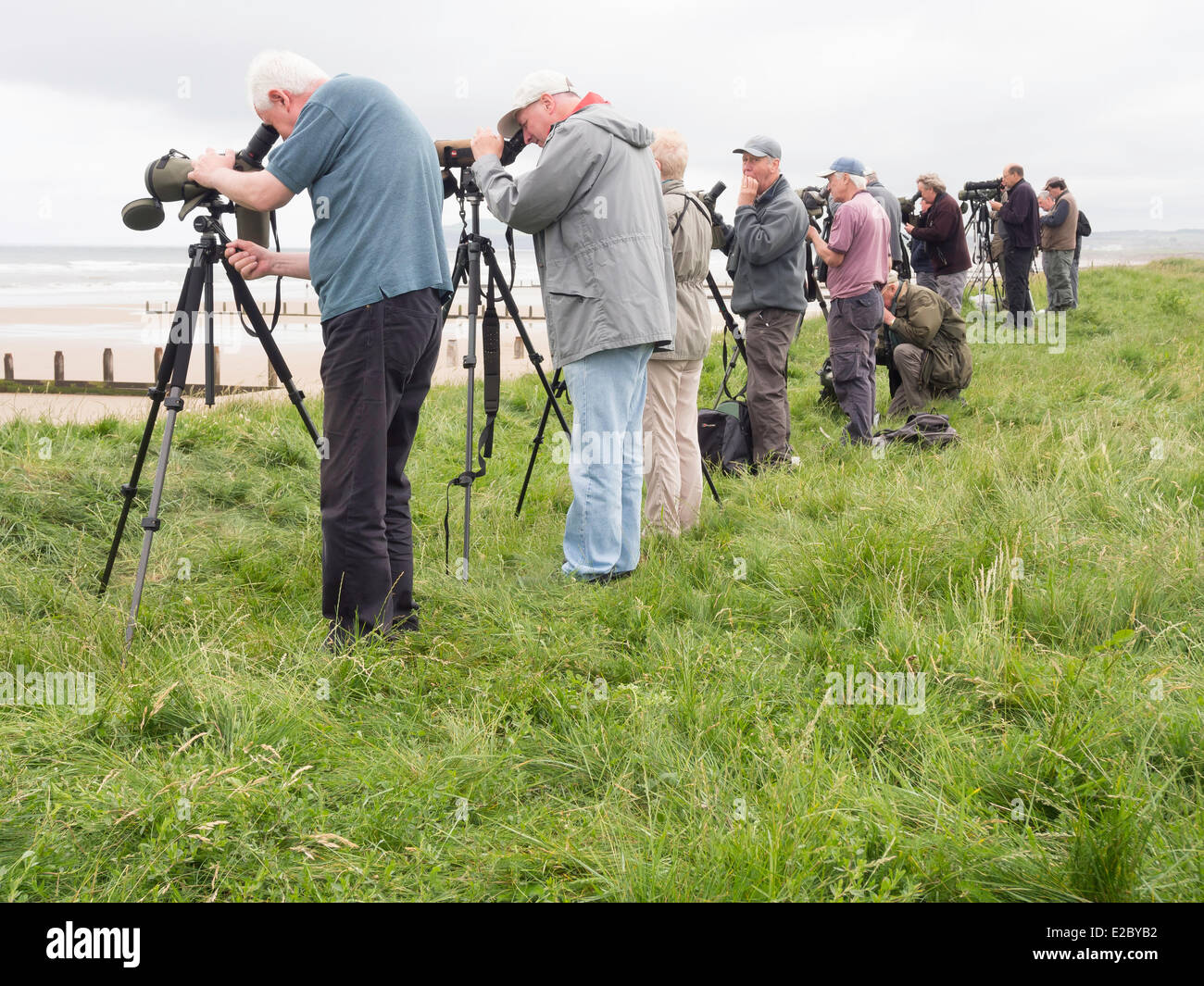 Redcar Cleveland, UK. 18. Juni 2014. Twitchers an der Nordseeküste in Redcar Cleveland UK 18. Juni, in der Hoffnung, eine seltene Black über Melanitta America ein Landstreicher aus Nordamerika zu sehen, die es gesehen hat.  Ihre Aufgabe ist schwierig, weil der Vogel in eine große Herde von gemeinsamen über Melanitta Nigra von dem amerikanischen Vogel nur unterscheidet sich ist durch eine etwas größere Rechnung. Bildnachweis: Peter Jordan NE/Alamy Live-Nachrichten Stockfoto