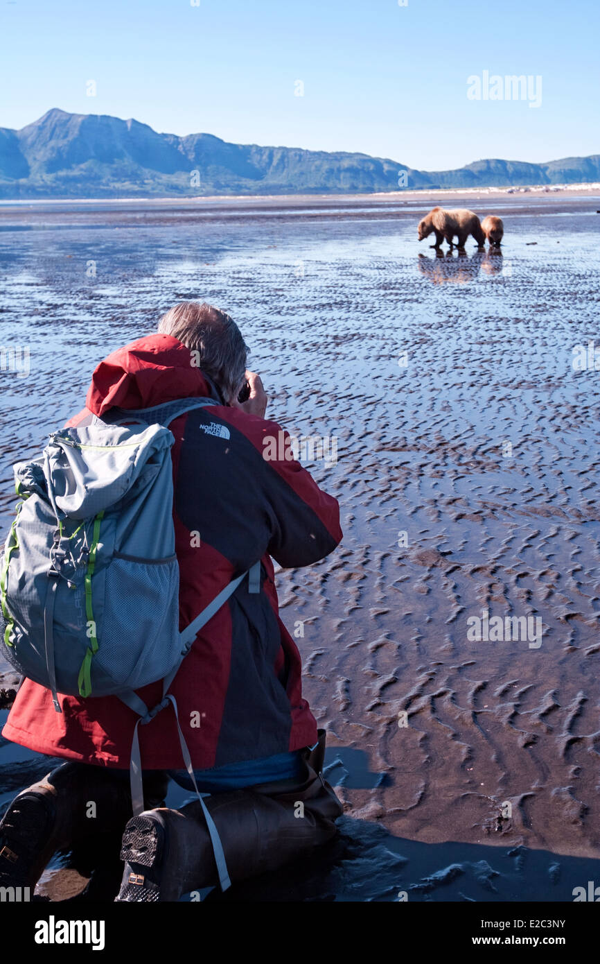 Ein Mann nimmt Bilder eines Bären in Homer, Alaska Stockfoto