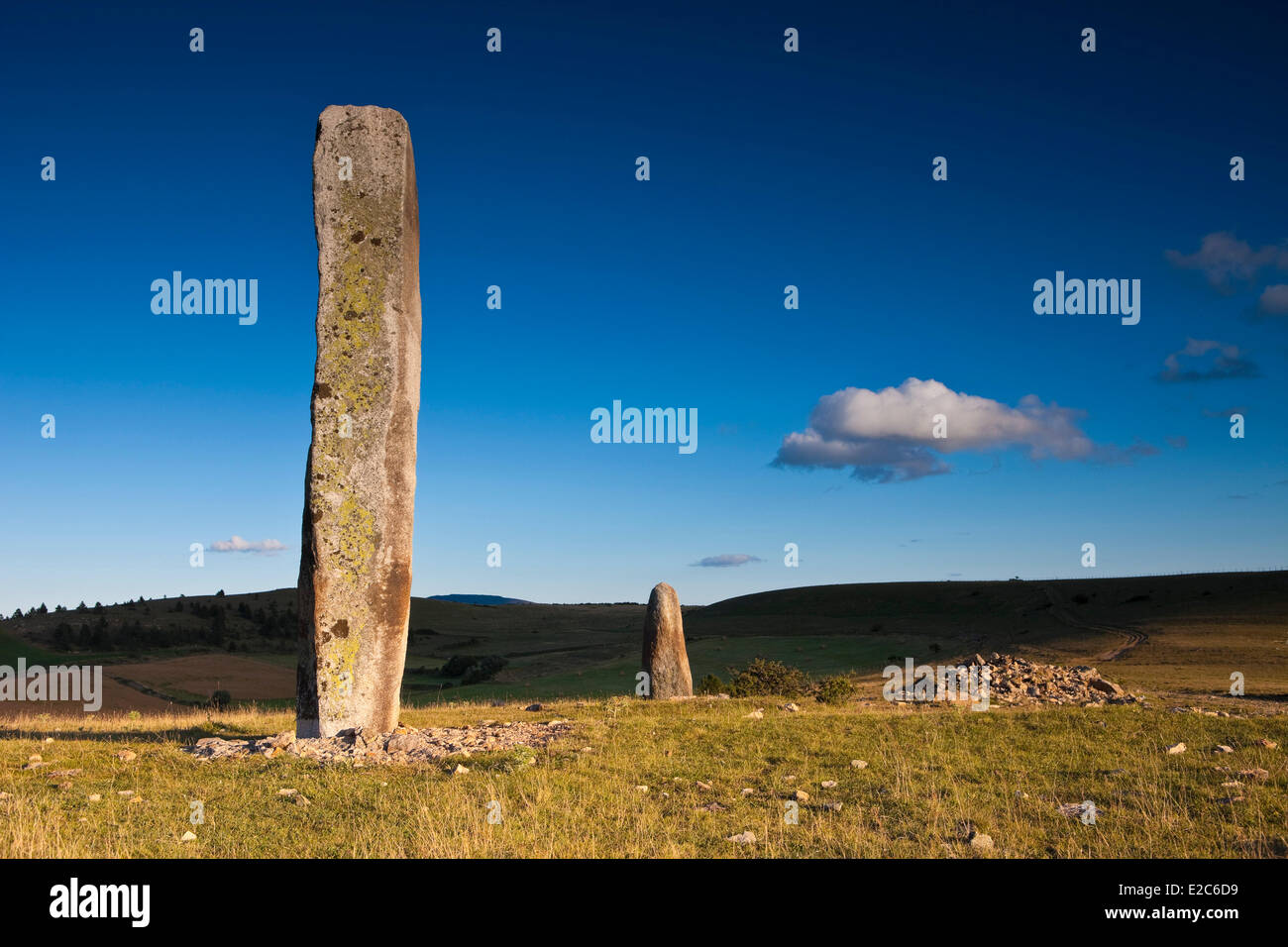 Frankreich, Lozere, die Causses und Cevennen, Cham Bondons, Kalkstein-Plateau, Trail Menhire Stockfoto