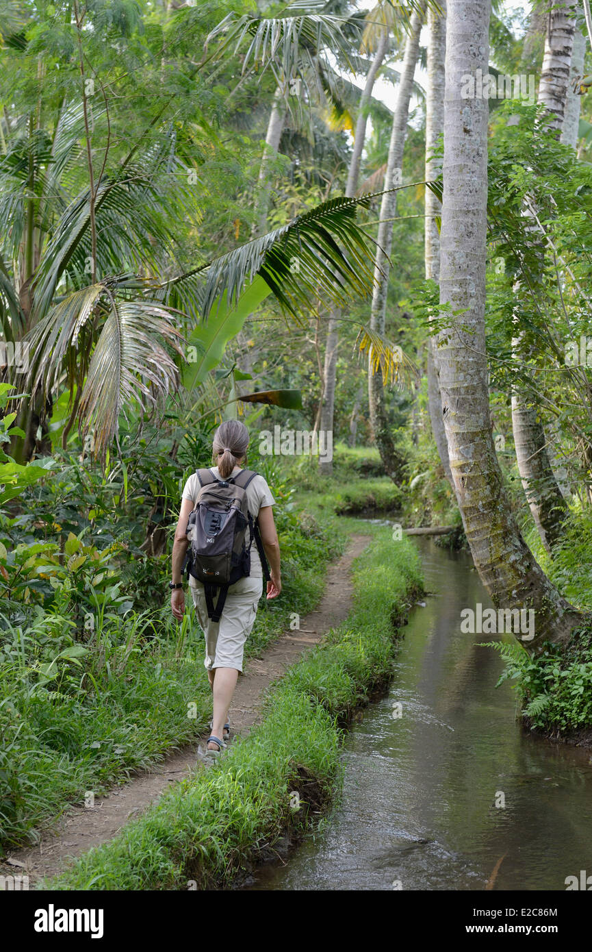 Indonesien, Bali, Ubud, Wandern in der Natur Stockfoto