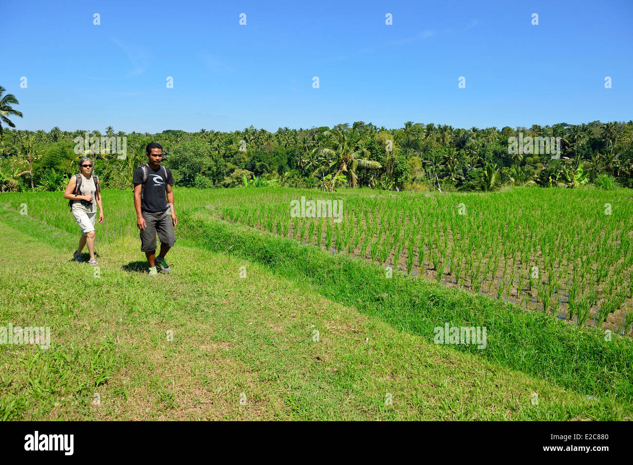 Indonesien, Bali, Ubud, Wandern in der Natur Stockfoto