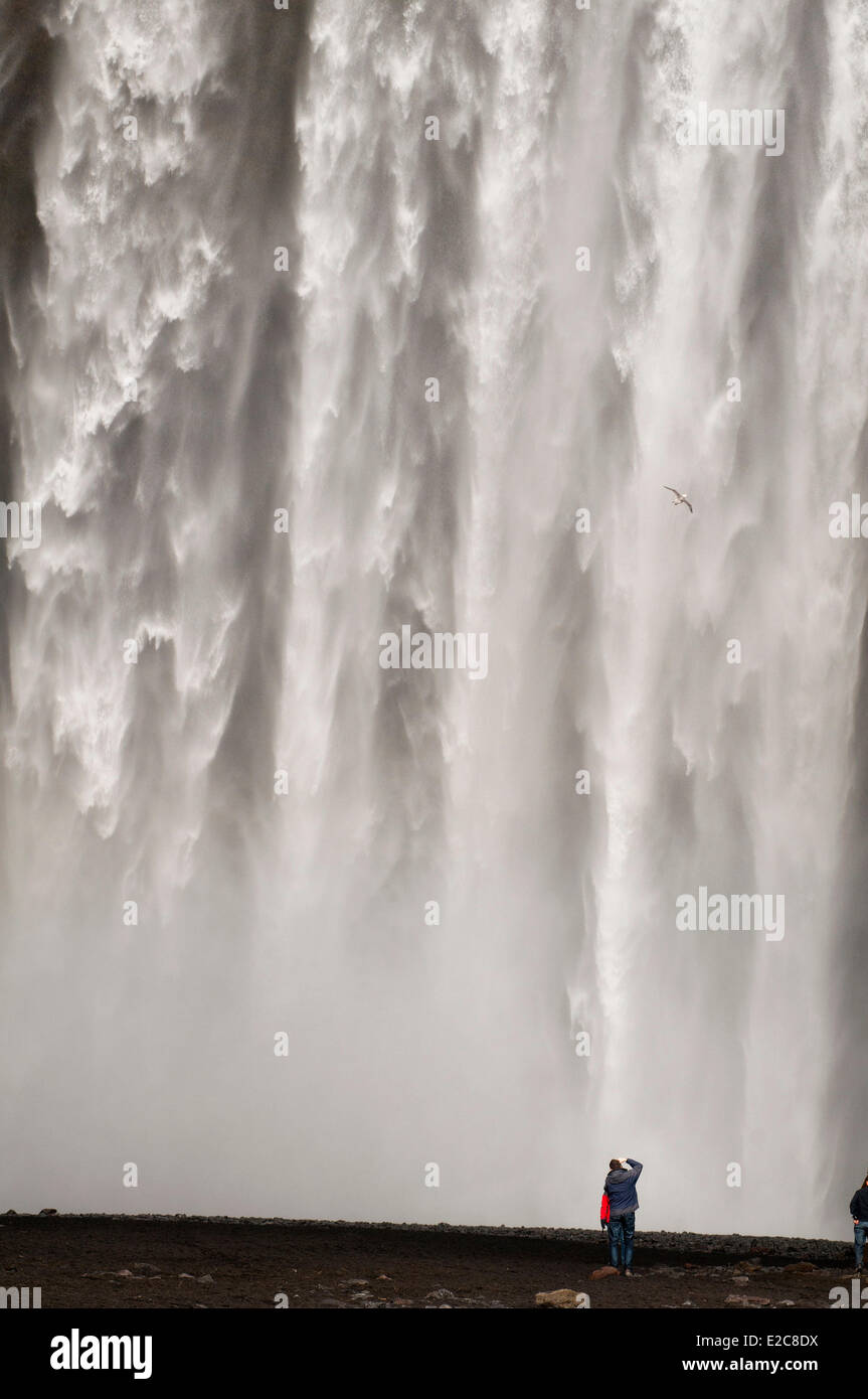 Island, Sudurland Region, Skogar, Skogafoss fällt Stockfoto