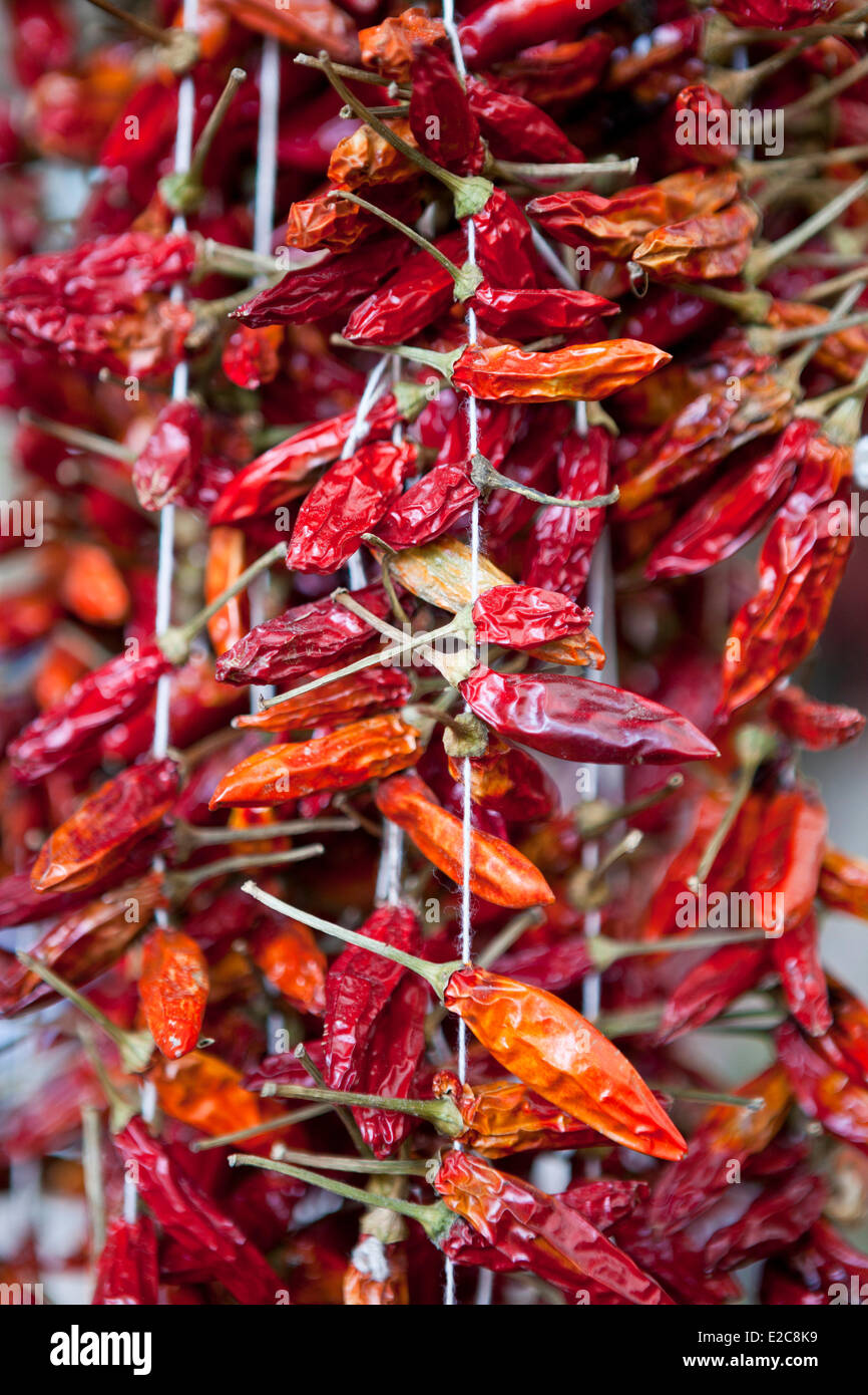 Portugal, Norte Region, Porto, Bolhao Markt, Paprika Stockfoto