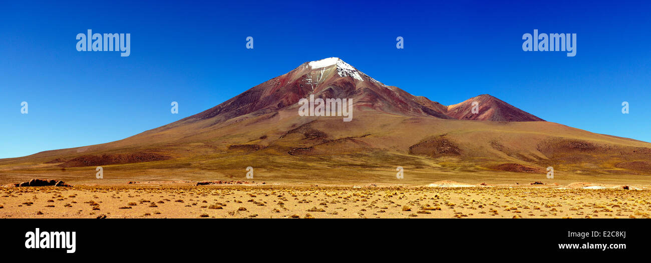 Bolivien, Potosi Department, Sur Lipez Provinz Eduardo Avaroa Anden Fauna Nationalreservat, El Cerro Tomasamil Stockfoto