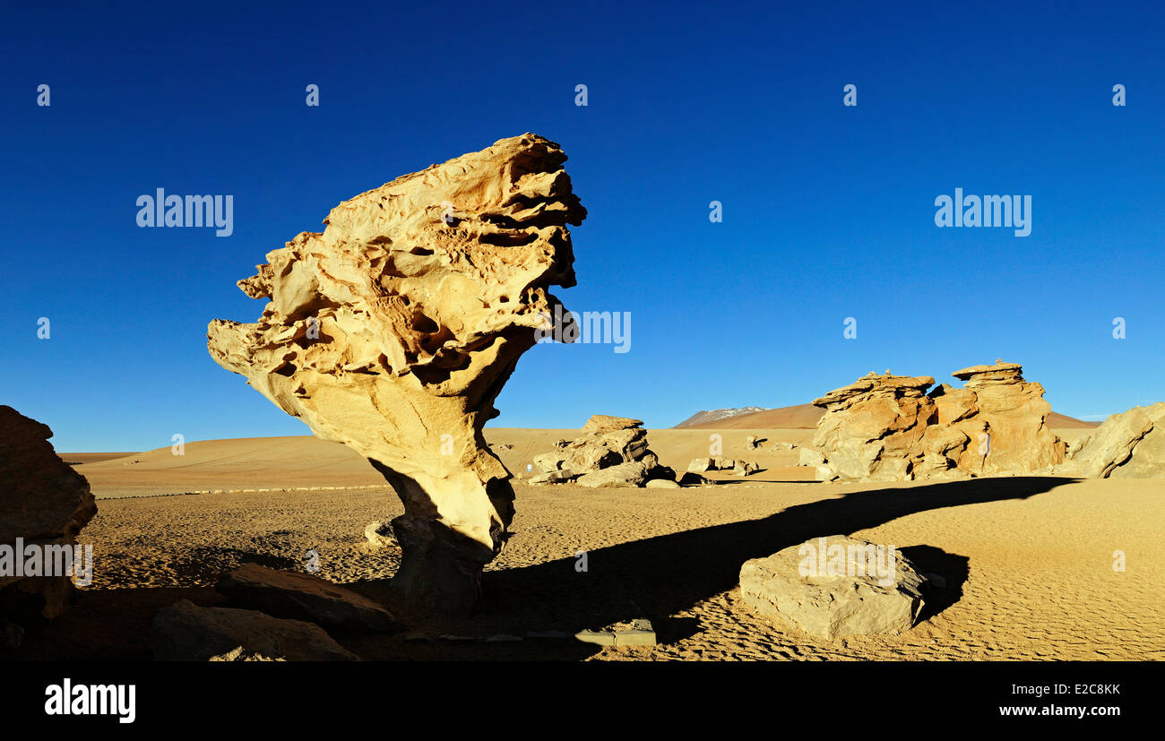 Bolivien, Potosi Department, Provinz Sur Lipez, Eduardo Avaroa Anden Fauna Nationalreservat Siloli Wüste, der steinerne Baum (Arbol de Piedra) Stockfoto