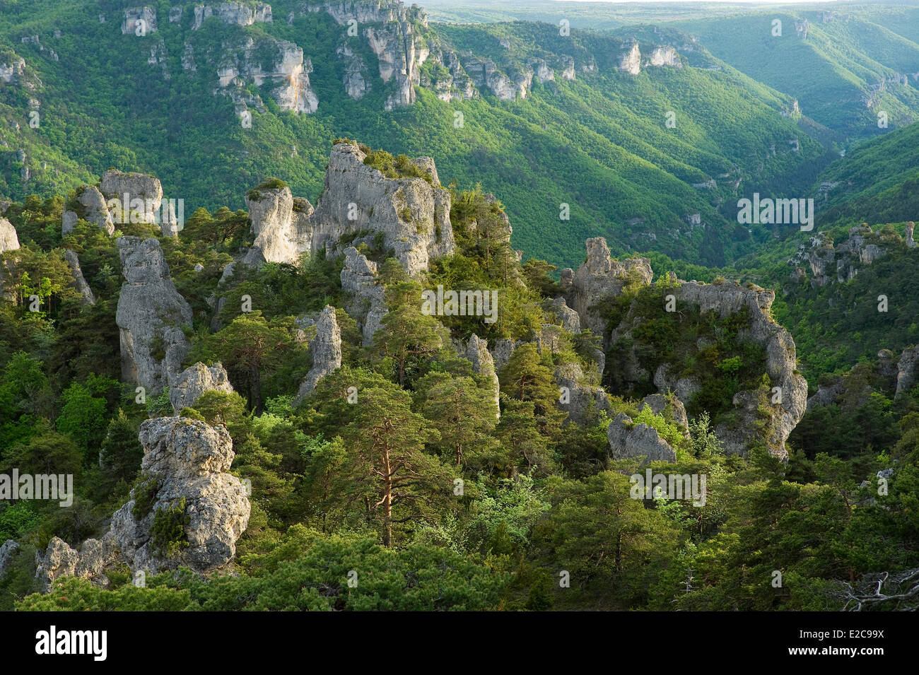 Frankreich, Lozere, die Causses und Cevennen, mediterrane Agro pastorale Kulturlandschaft Weltkulturerbe von UNESCO, Cevennen-Nationalpark (Parc National des Cevennen), La Roque Sainte Marguerite, Chaos Montpellier le Vieux auf dem Causse Noir Stockfoto