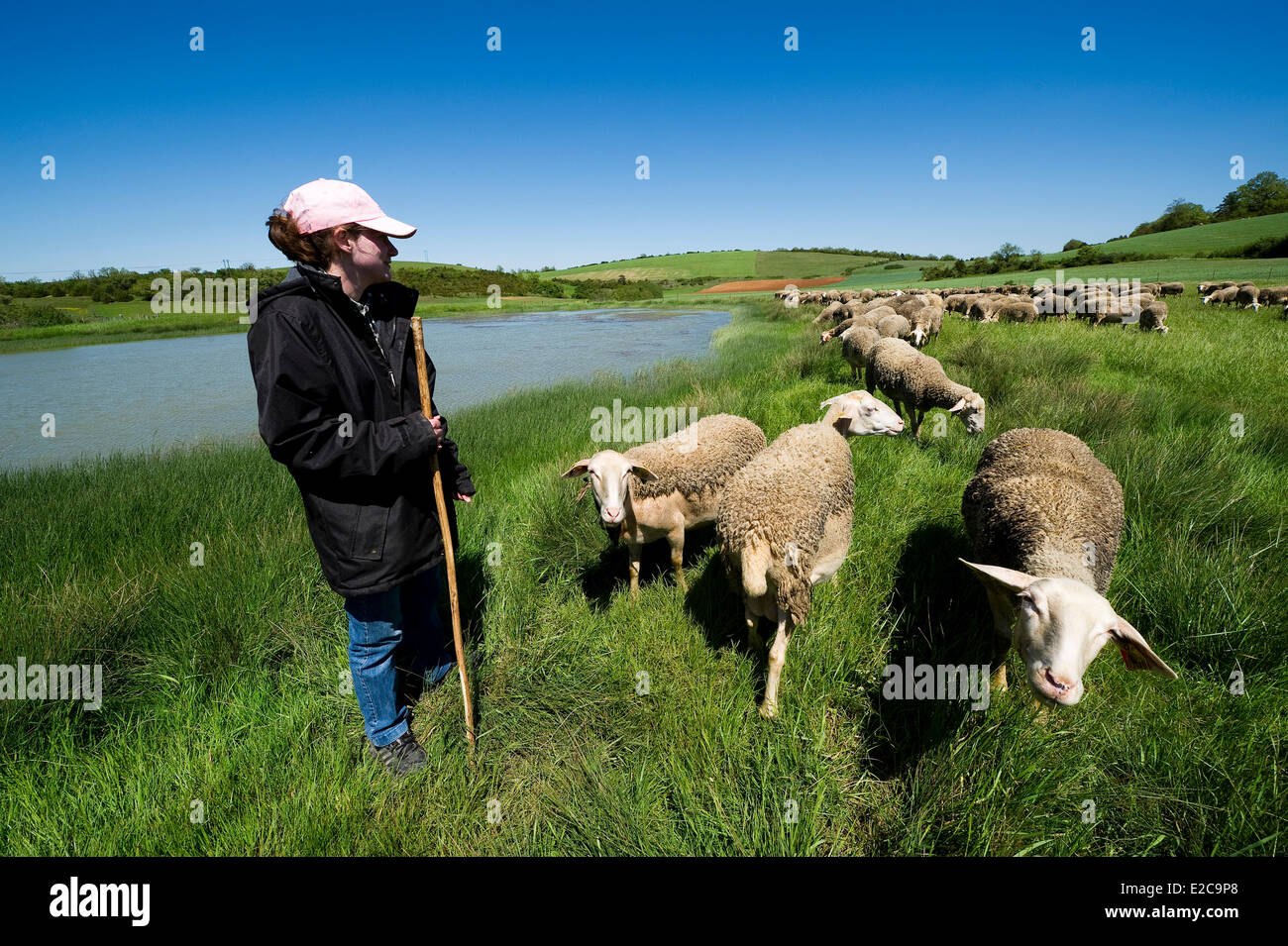 Frankreich, Aveyron, La Rouquette, der Hirte Severine Boudes und seine Herde Stockfoto