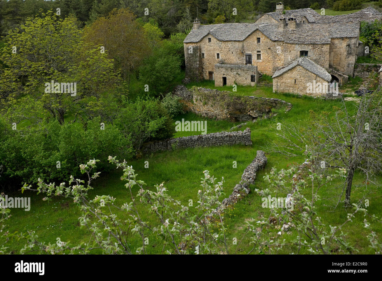 Frankreich, Aveyron, Rougerie Bauernhaus auf dem Causse Noir Stockfoto