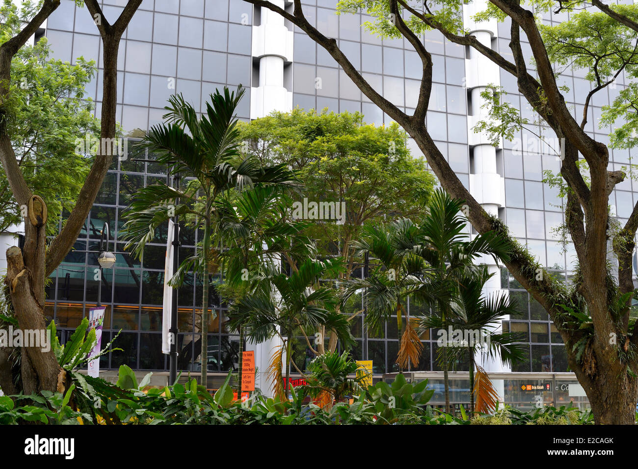 Singapur, das Einkaufszentrum Manulife Centre auf Bras Basah road Stockfoto