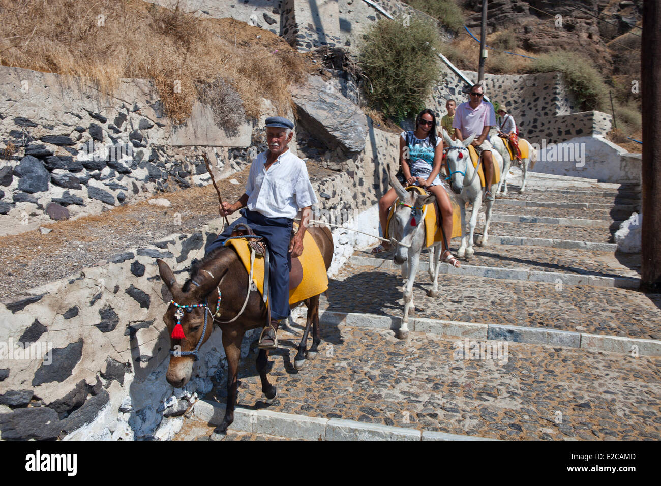 Griechenland, Cyclades, Ägäis, Santorini (Thira oder Thera), Aufstieg mit dem Esel aus dem Meer, das Dorf von Thira zu erreichen Stockfoto