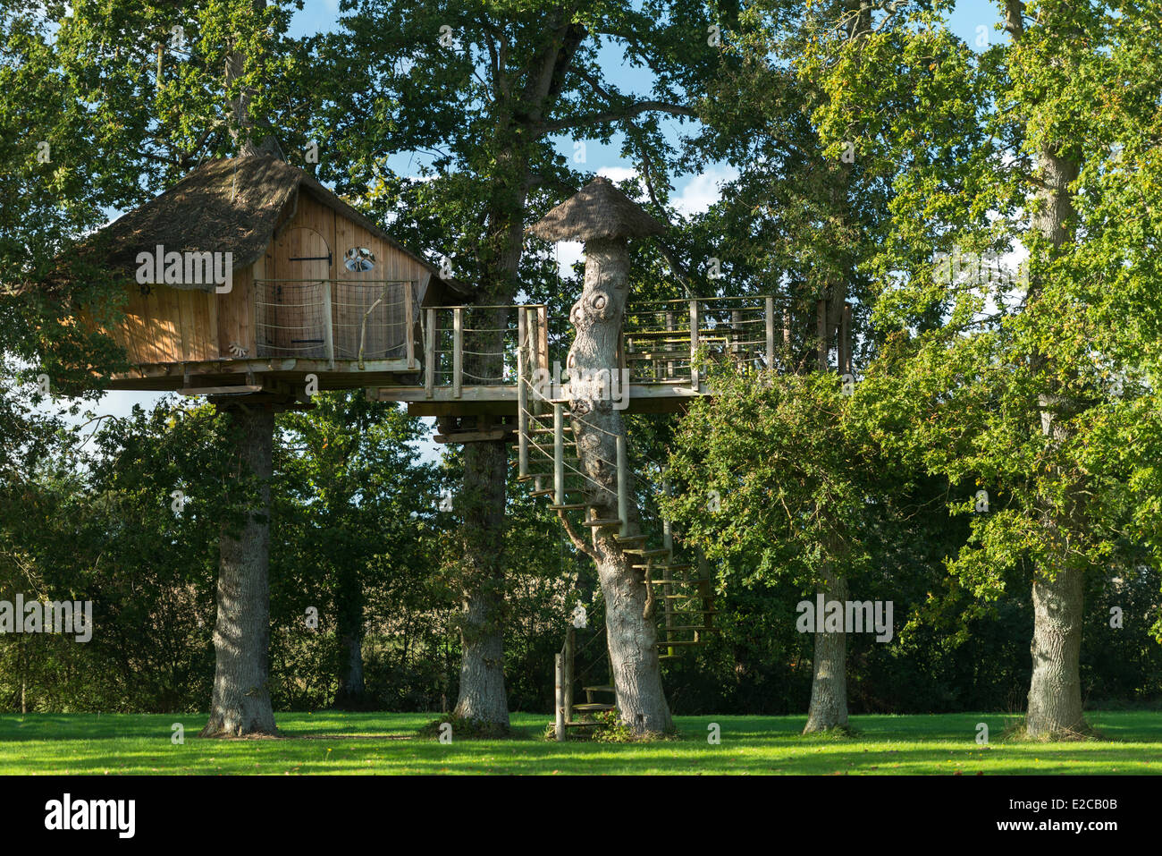 Frankreich, Ille et Vilaine, Saint-Pierre de Plesguen, Baumhaus des Gästehauses der Petit Moulin du Rouvre Stockfoto