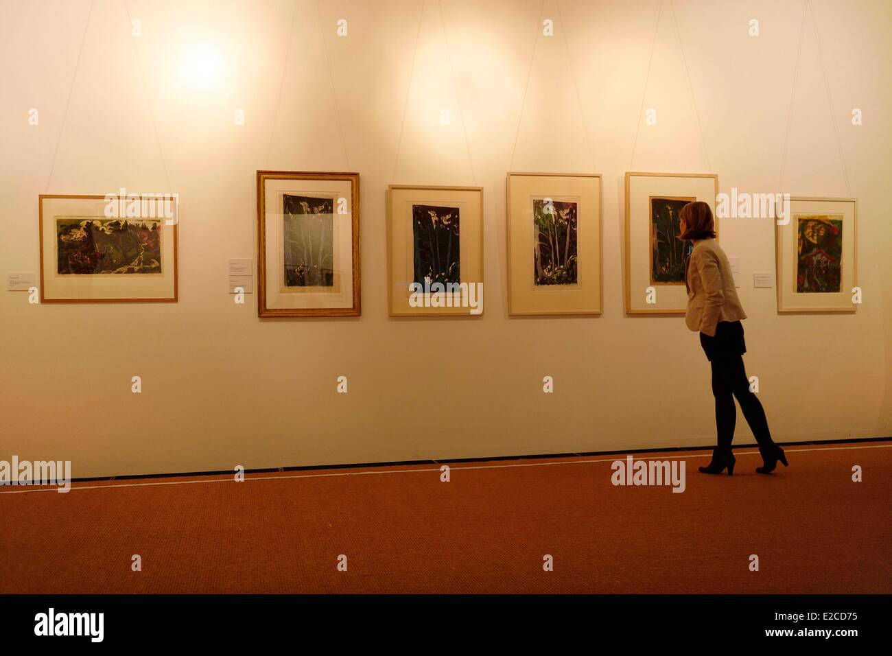 Deutschland, Berlin, Dahlem Bezirk, am Rand des Waldes von Grunewald, Brücke-Museum zeigt deutsche Avantgarde Anfang des 20. Jahrhunderts Stockfoto