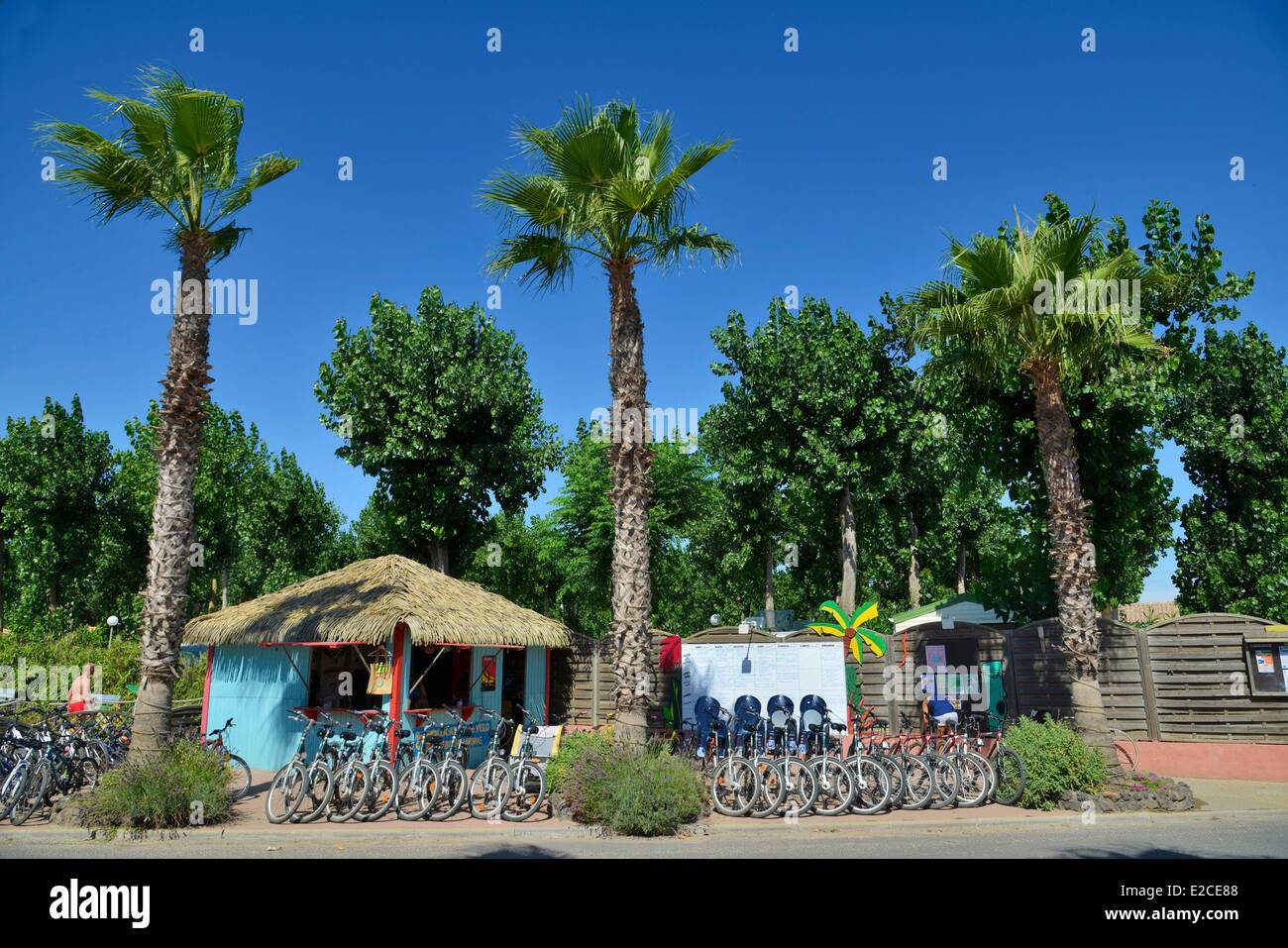 Frankreich, Herault, Serignan, Camping Village Aloha, Workshop der Miete  des Fahrrads in das Strohdach am Fue der Palmen Stockfotografie - Alamy