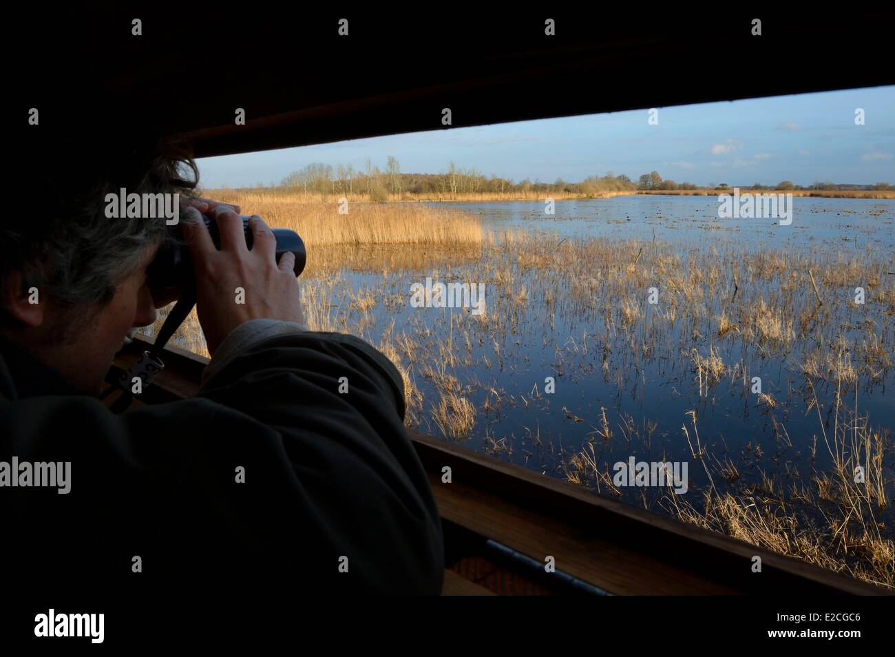 Frankreich, Indre, Beere, Parc Naturel Regional De La Brenne (natürlichen regionalen Park von La Brenne), La Touche Teich, Sternwarte gebaut, vom Park und von der Liga für den Schutz der Vögel, Vögel zu beobachten-Hütte Stockfoto