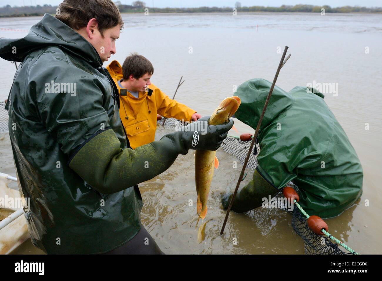 Frankreich, Indre, Beere, Parc Naturel Regional De La Brenne