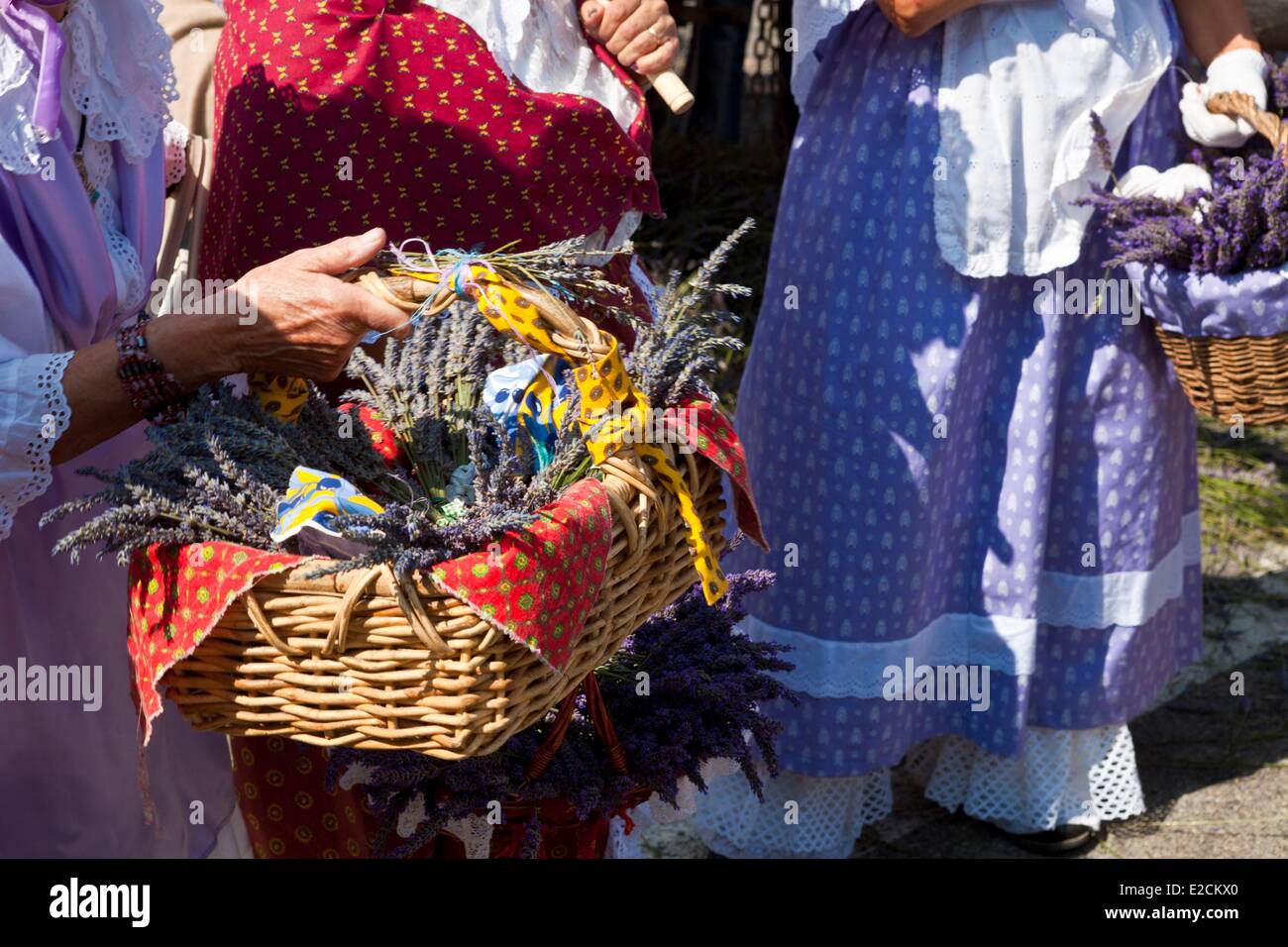 Frankreich Alpes de Haute Provence Parc Naturel Regional du Verdon (natürlichen regionalen Park der Verdon) Valensole Lavendel Festival auf Stockfoto