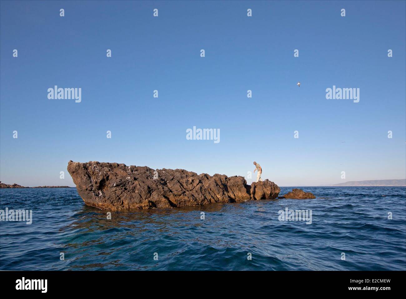 Algerien Habibas Inseln Insel Stockfoto