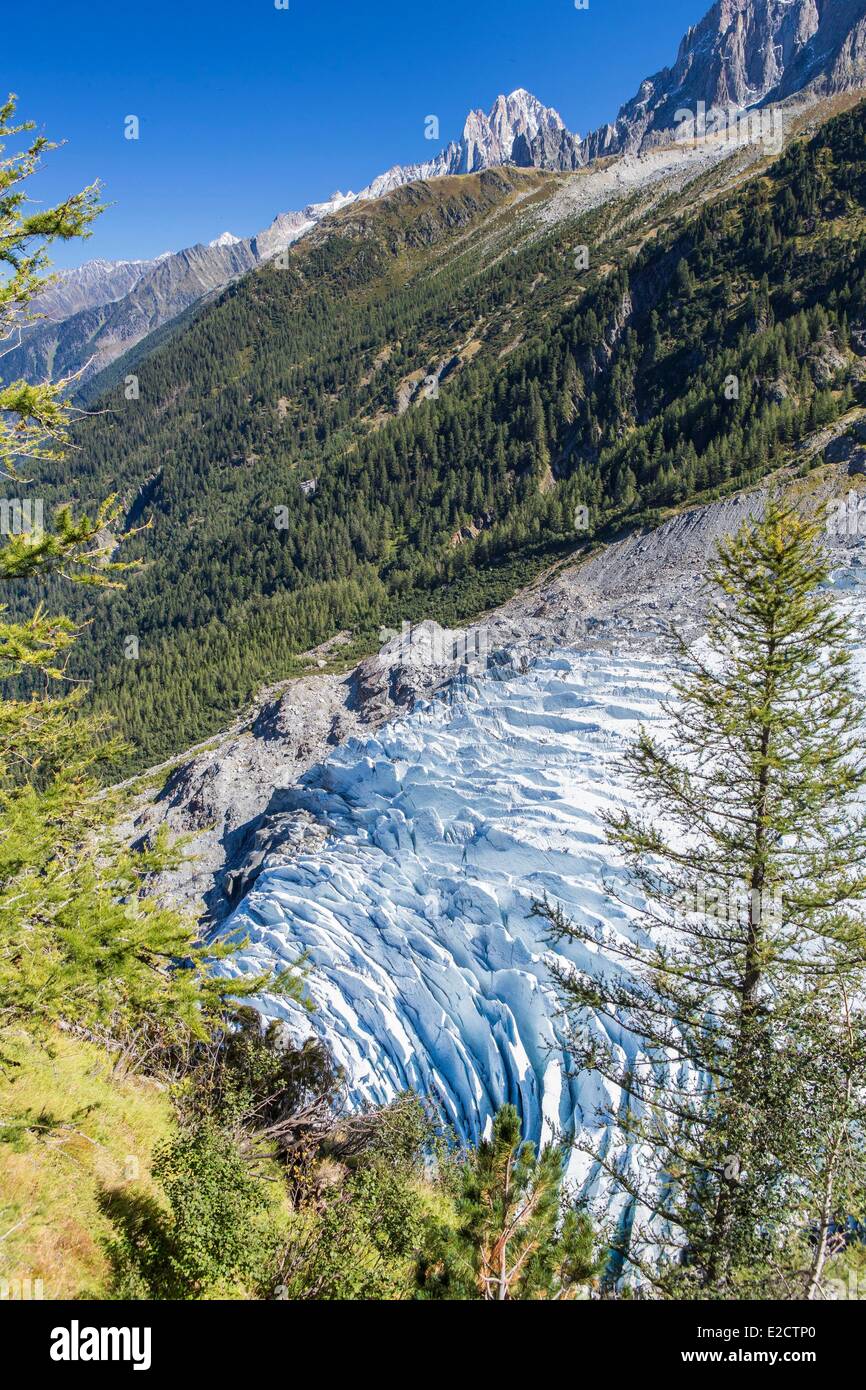 Frankreich Haute Savoie Chamonix Mont Blanc das Massiv des Mont Blanc Serac des Glacier des Bossons seit der Montagne De La Cote Stockfoto