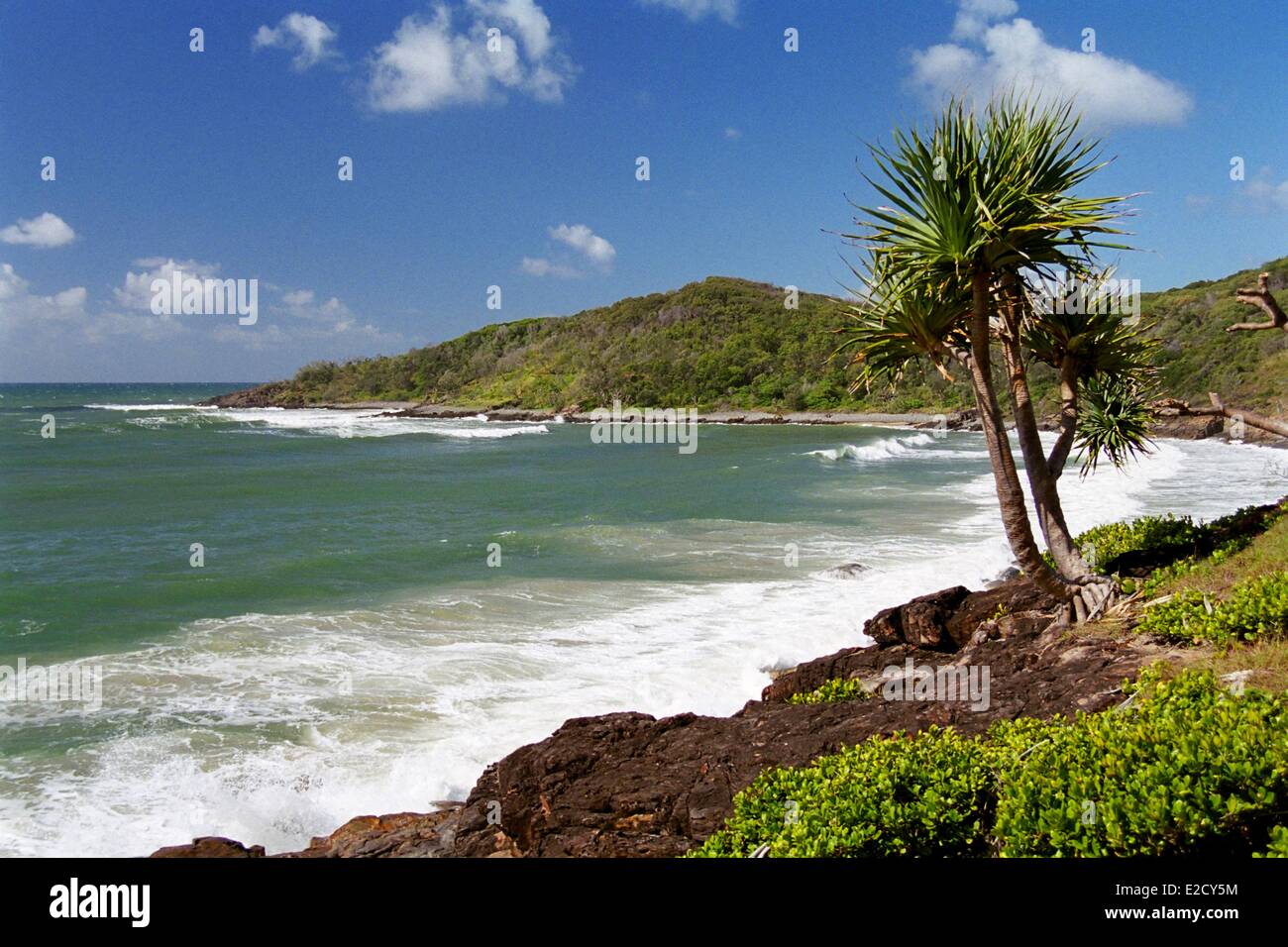 Australien Queensland Noosa Head Nationalpark Pazifischen Ozean Wellen auf den braunen Felsen eines Baches Stockfoto