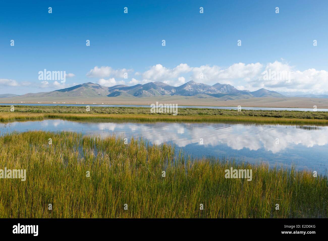 Kirgisistan Naryn Provinz Jurten am See auf Almen im Song-Kol See staatliche zoologische reserve Stockfoto