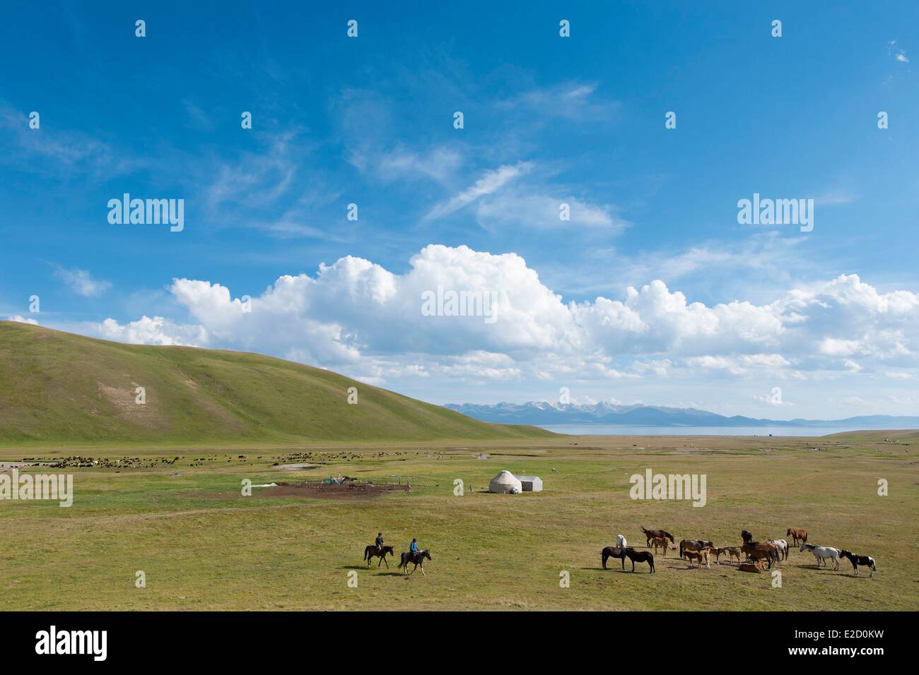 Kirgisistan Naryn Provinz Jurte Pferde und Reiter auf Almen im Song-Kol See staatliche zoologische reserve Stockfoto