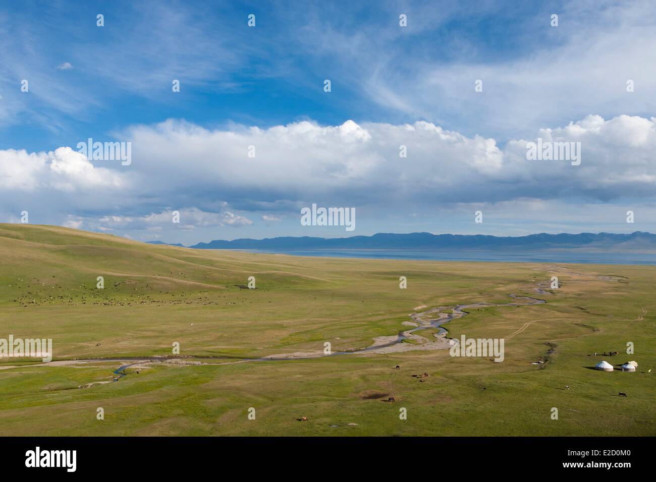 Kirgisistan Naryn Provinz Jurten und Pferde auf Bergweiden im Song-Kol See staatliche zoologische reserve Stockfoto