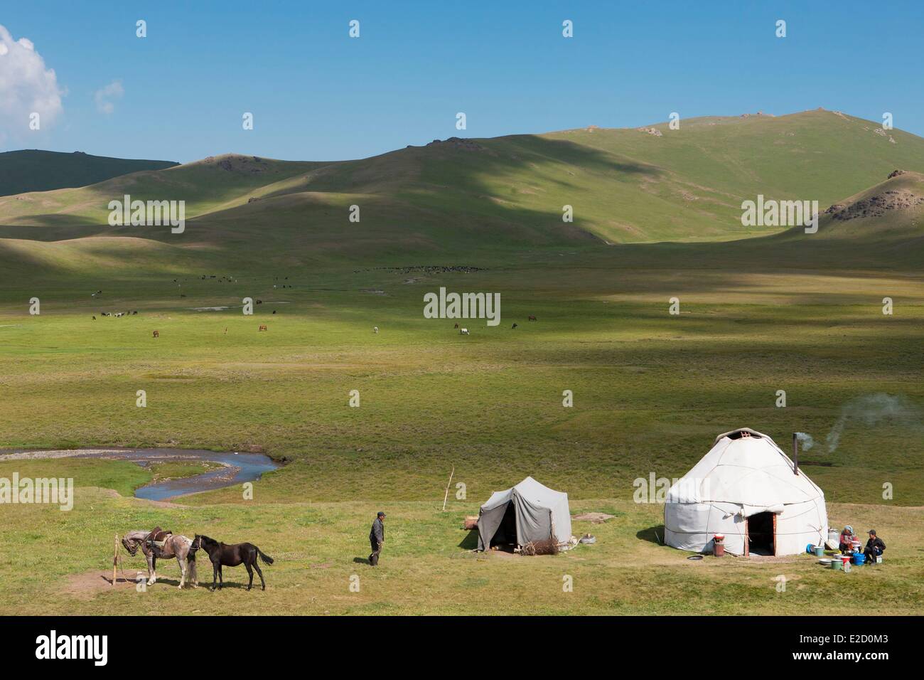 Kirgisistan Naryn Provinz Jurte und Pferde auf Bergweiden im Song-Kol See staatliche zoologische reserve Stockfoto