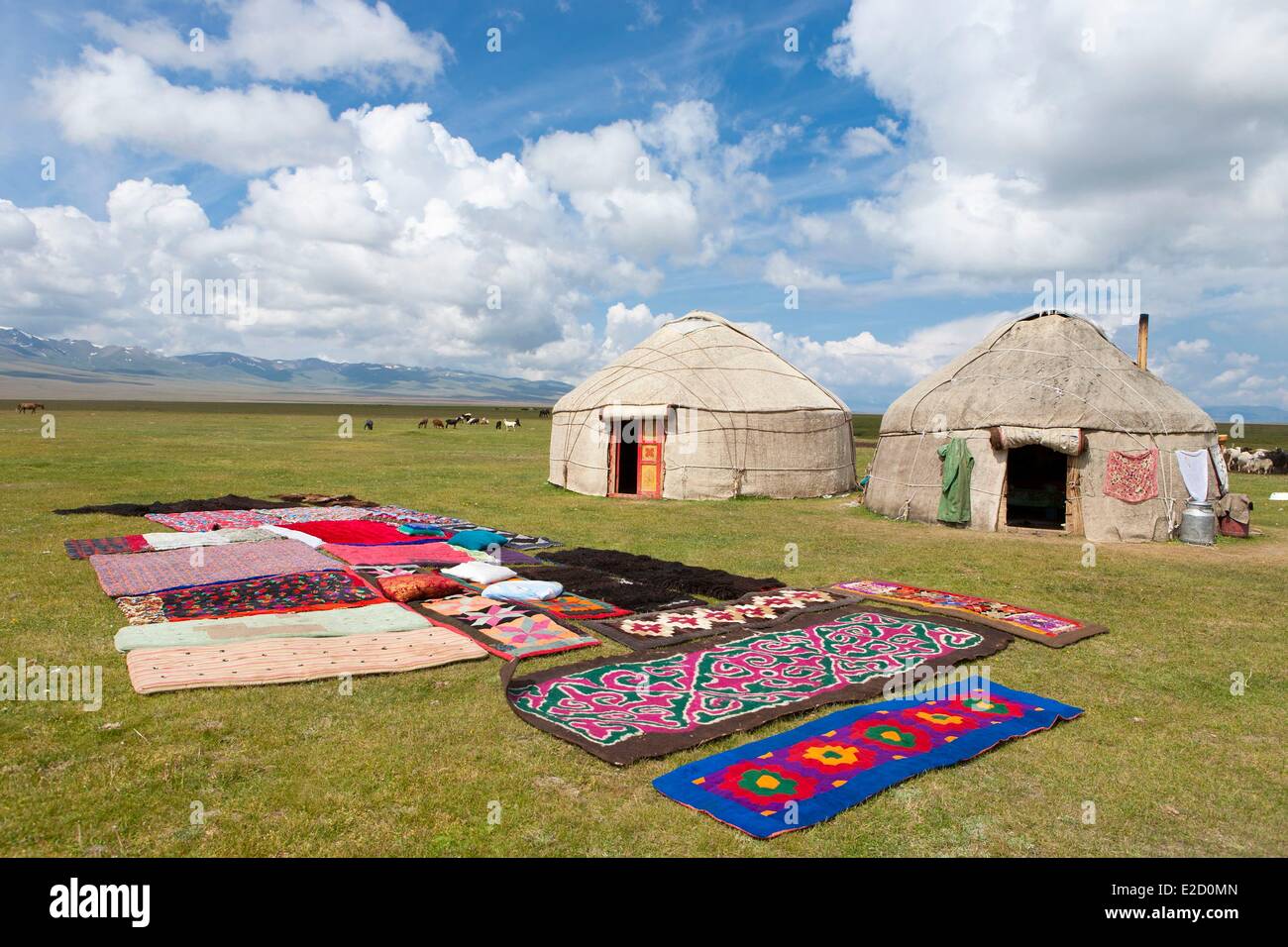 Kirgisistan Naryn Provinz Teppiche vor Jurten auf Almen im Song-Kol See staatliche zoologische reserve Stockfoto