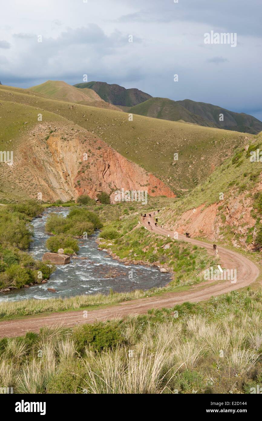 Kirgisistan Naryn Provinz Song-Kol zoologische Reserve Song-Kol Fluss im Tal Stockfoto