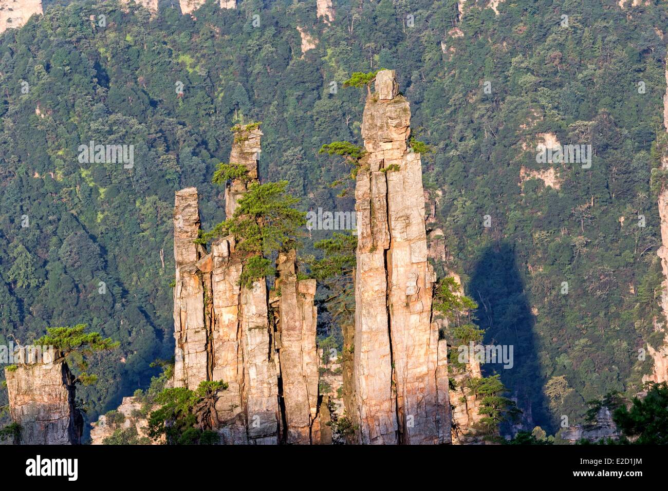 China Hunan Provinz Zhangjiajie Wulingyuan Scenic Area Zhangjiajie National Forest Park als Weltkulturerbe der UNESCO gelistet Stockfoto