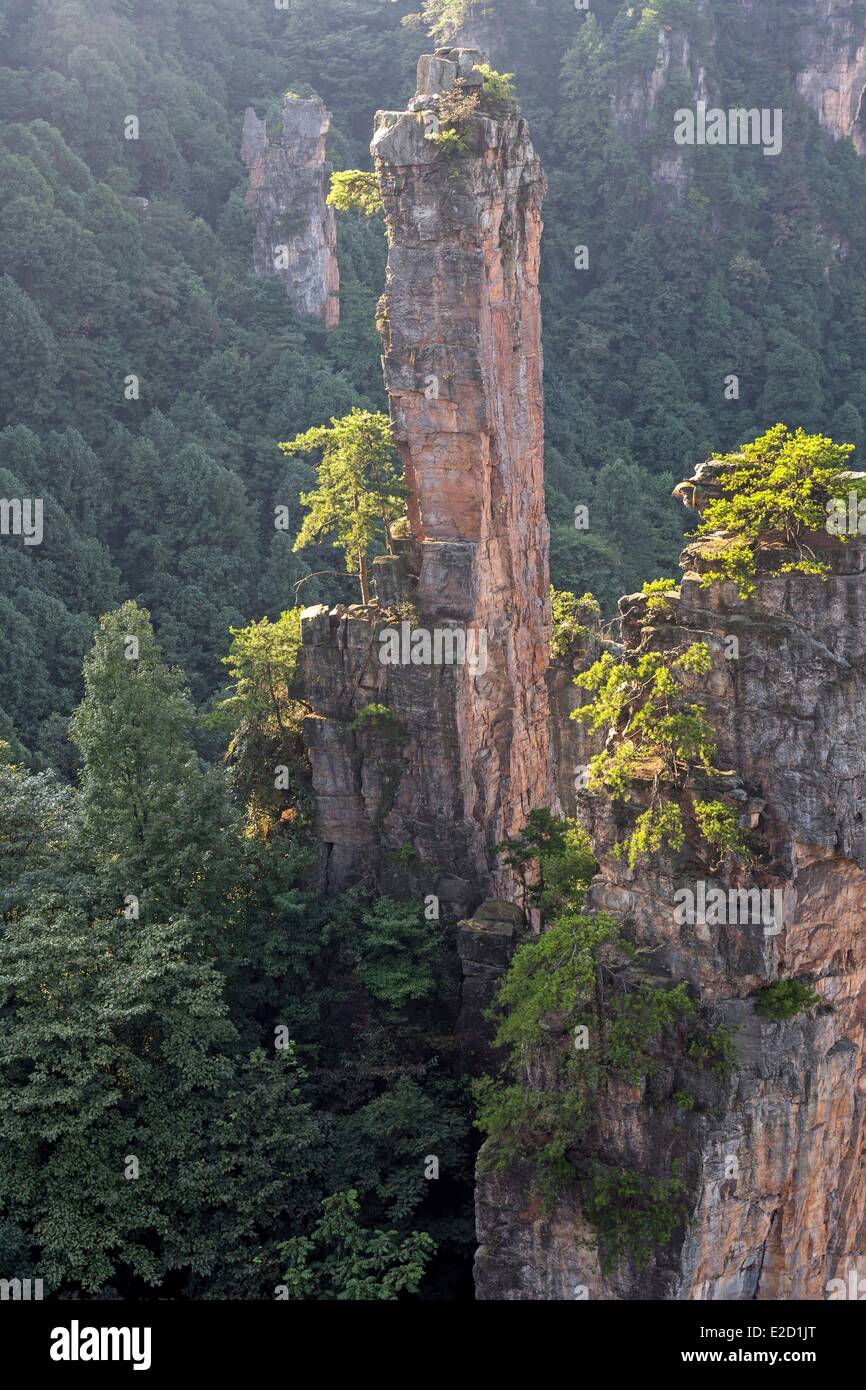 China Hunan Provinz Zhangjiajie Wulingyuan Scenic Area Zhangjiajie National Forest Park als Weltkulturerbe der UNESCO gelistet Stockfoto