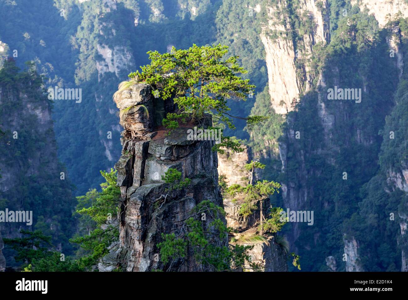 China Hunan Provinz Zhangjiajie Wulingyuan Scenic Area Zhangjiajie National Forest Park als Weltkulturerbe der UNESCO gelistet Stockfoto