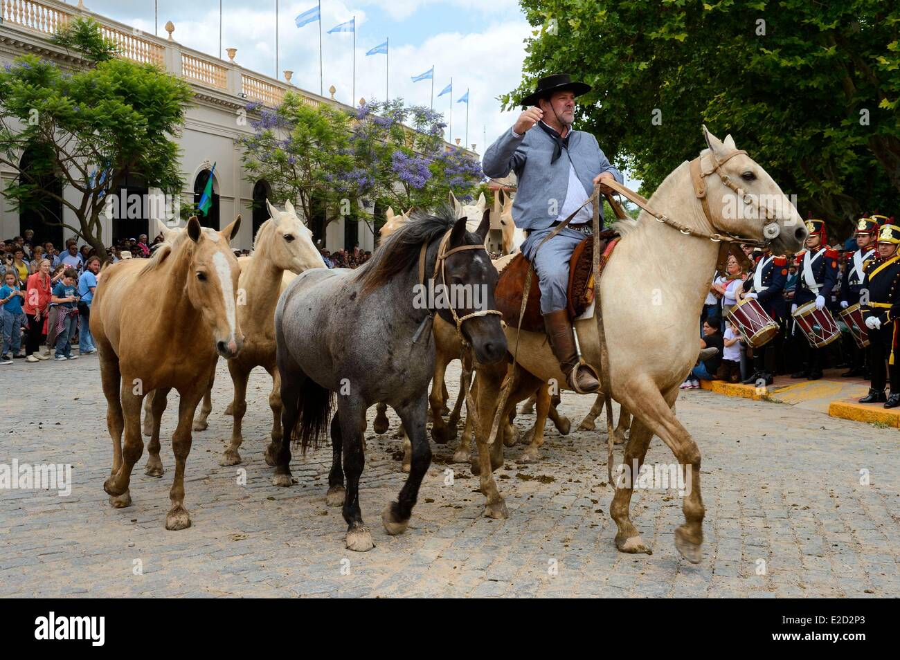 Argentinien Buenos Aires Provinz San Antonio de Areco Tradition Tag Festival (Dia de Tradicion) Gaucho mit seiner Herde von Pferden Stockfoto
