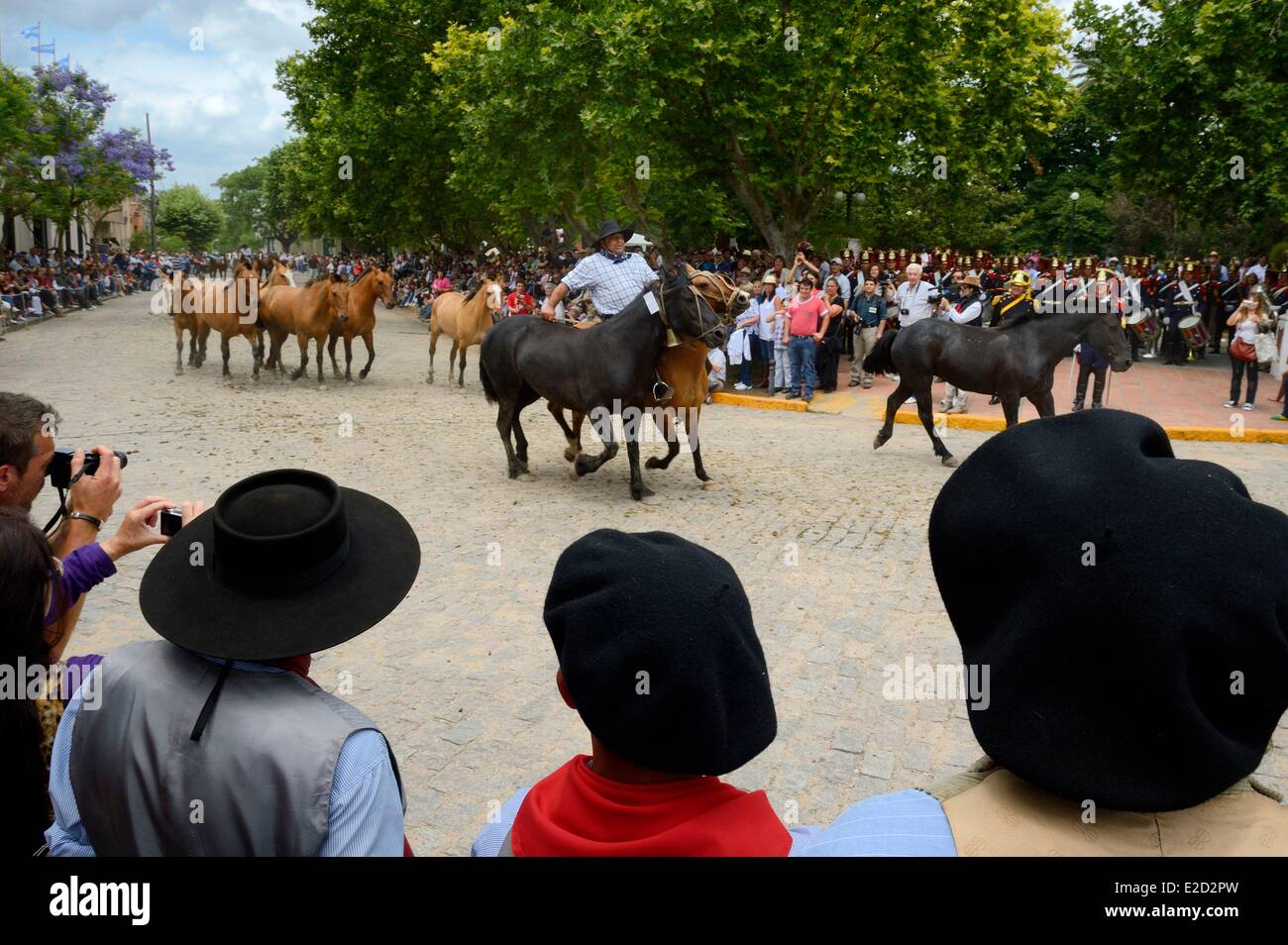 Argentinien Buenos Aires Provinz San Antonio de Areco Tradition Tag Festival (Dia de Tradicion) Gaucho mit seiner Herde von Pferden Stockfoto
