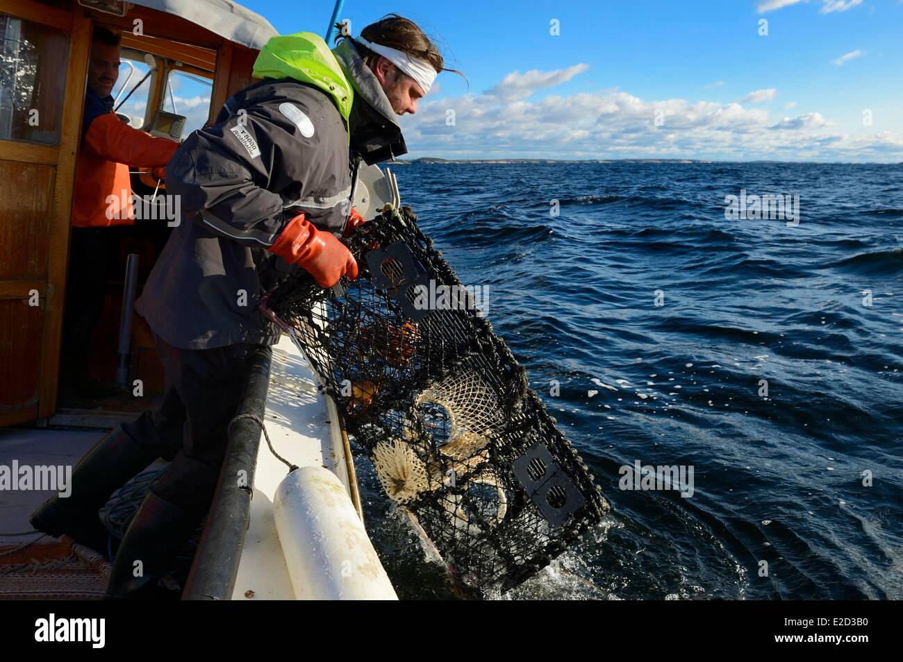 Schweden Vastra Gotaland Koster-Inseln heraus zum Meer Hummerfallen abrufen Stockfoto