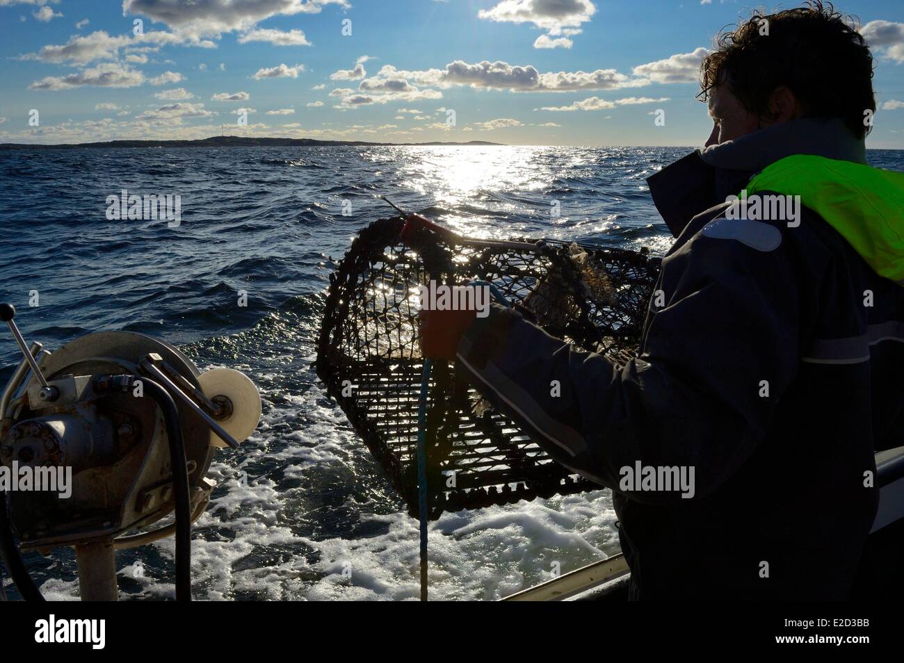 Schweden Vastra Gotaland Koster-Inseln heraus zum Meer Hummerfallen abrufen Stockfoto