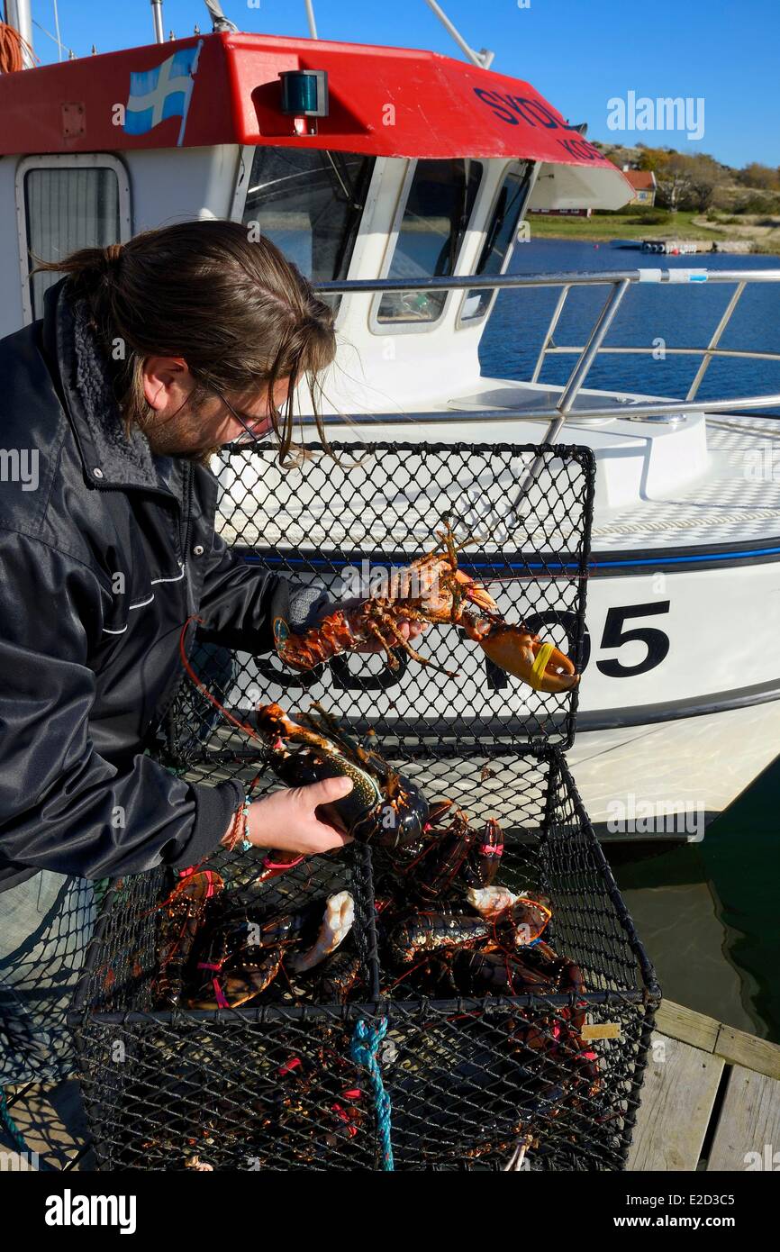 Schweden Vastra Gotaland Koster-Inseln Sydkoster Ekenas Port Rückkehr vom Hummerfang Stockfoto