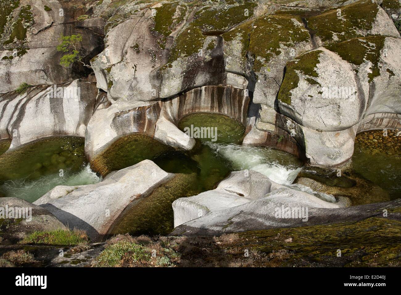 Spanien Extremadura Jerte Valley Naturschutzgebiet Garganta de los Infiernos Stockfoto