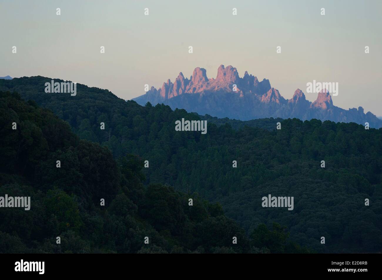 Frankreich, Corse du Sud, Alta Rocca, Aiguilles de Bavella (Bavella-Nadeln) bei Sonnenuntergang Stockfoto