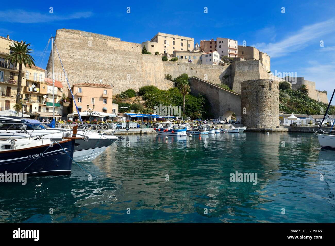 Frankreich, Haute Corse, Calvi, den Hafen, überragt von der Zitadelle Stockfoto