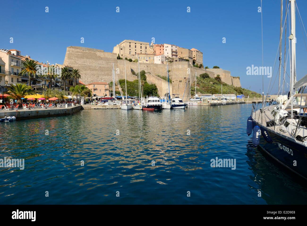 Frankreich, Haute Corse, Calvi, den Hafen, überragt von der Zitadelle Stockfoto