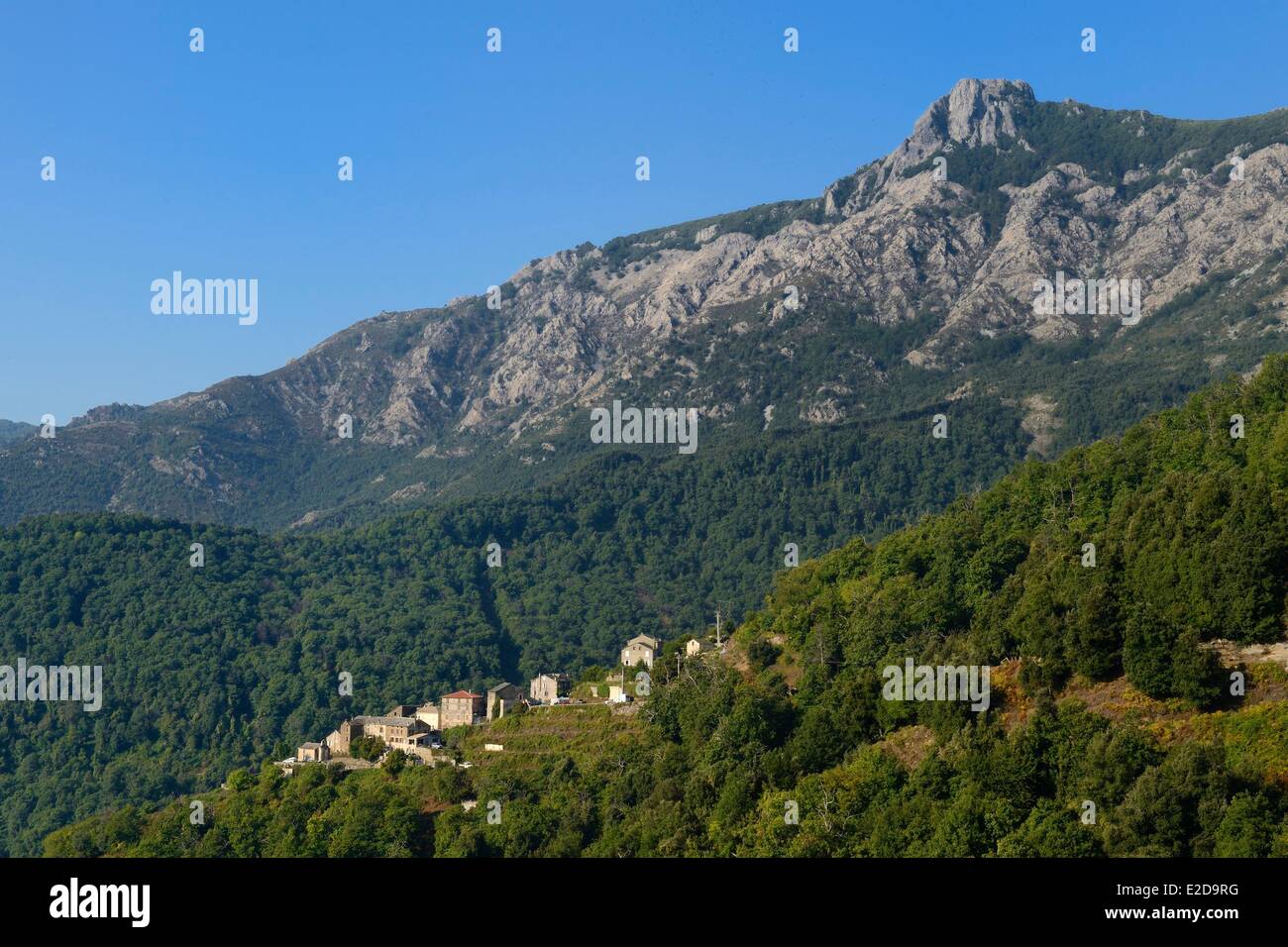 Frankreich, Haute Corse, Castagniccia, das Dorf von Poggio di Croce (U Poghju di Croce) am Fuße des Monte San Petrone Stockfoto