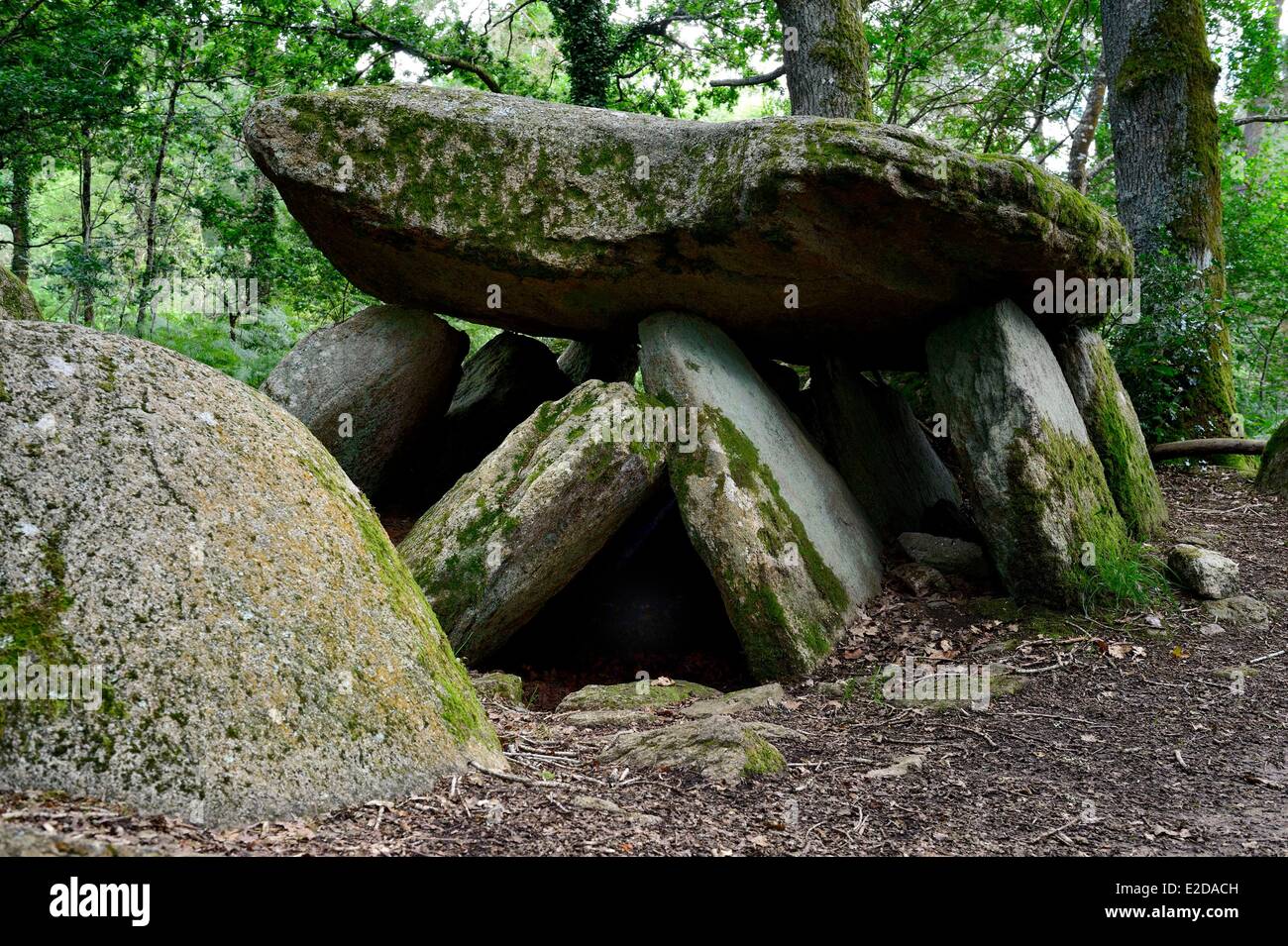Frankreich, Morbihan, Tredion, Loge au Loup Dolmen, wahrscheinlich mehr als 4500 Jahre alt Stockfoto