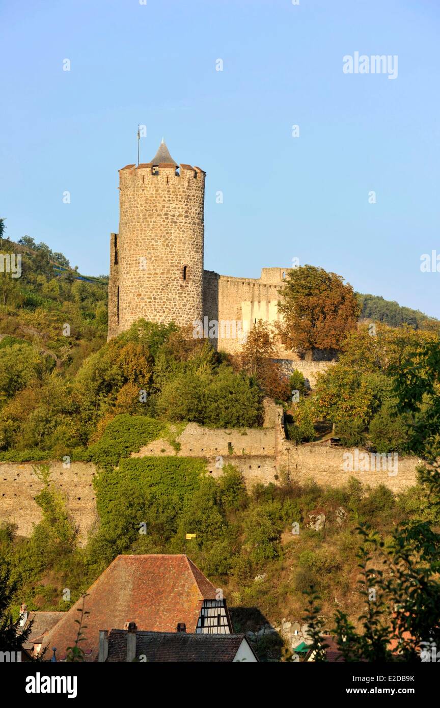 Frankreich Haut Rhin Elsass Wein Route Kaysersberg der Bergfried der Burg Stockfoto