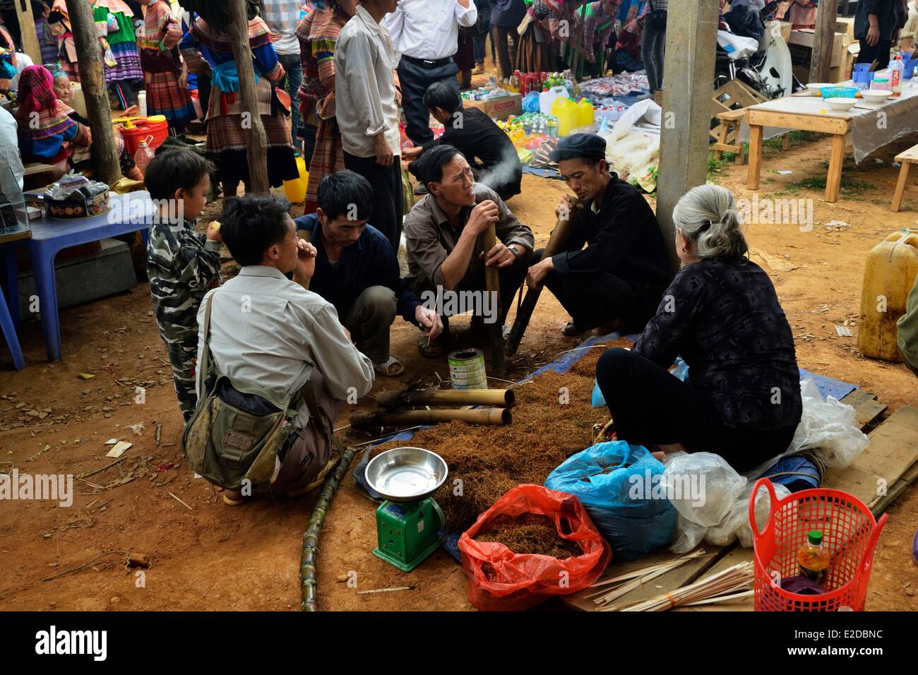 Vietnam Lao Cai Provinz Bac Ha Region Coc Ly ethnischen Markt Volksgruppe geblüht Hmong Leute kaufen Tabak auf dem Markt Stockfoto